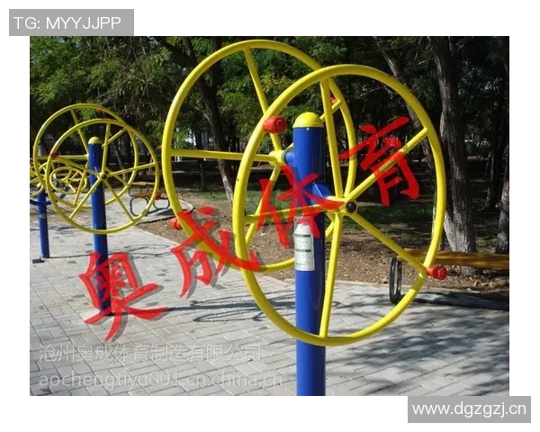 浙江新奥健身器材的产品介绍与优势